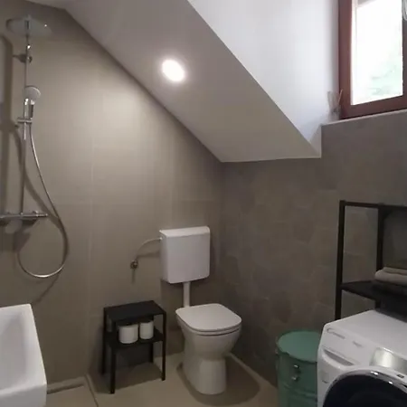 Apartament Karlovska Old Town Lublana